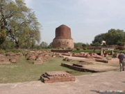 釈迦尊が初めて法を説かれた地サルナート。巨大なダーマク塔は６世紀頃に増拡大されて今の形になった。